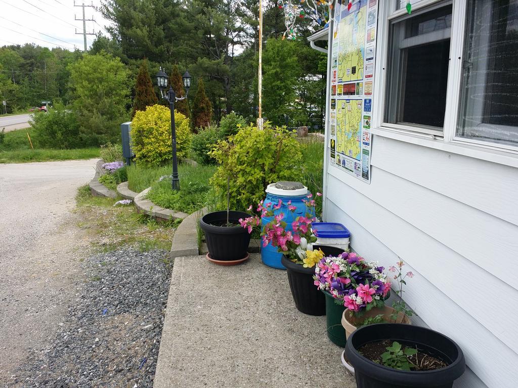 Cedar Lane Motel Bracebridge Extérieur photo